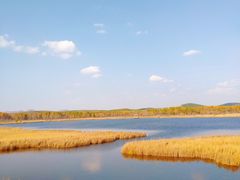 -塞罕坝国家级自然保护区