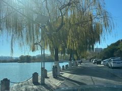 -济南国际园博园