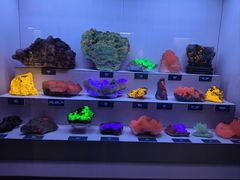 -湖南省地质博物馆