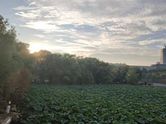 -长春市南湖公园