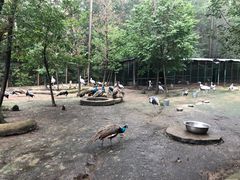 -哈尔滨北方森林动物园