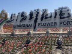 -上海鲜花港