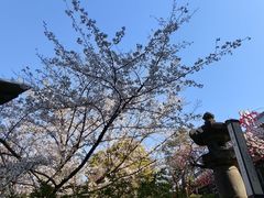 -上野公园花园稻荷神社(忍岡稲荷神社)