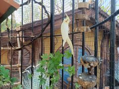 -珠海海泉湾神秘岛亲子乐园