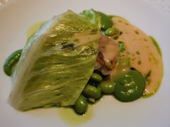 -蝶舍·MAISON PAPILLON