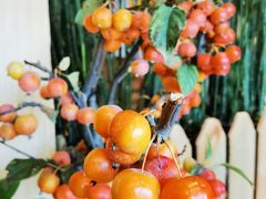 -萤火虫咖啡(后海店)