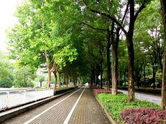 -后襄河公园
