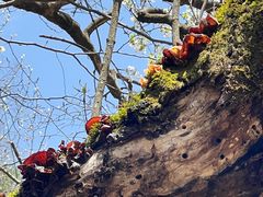 -青峰峡国家森林公园