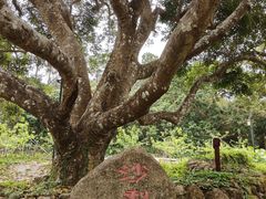 -叶挺将军纪念园