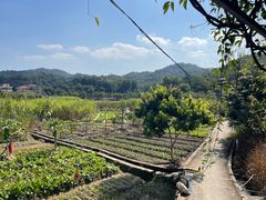 景观位-龙泉山庄(红山店)
