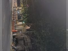 -九先生水饺(傅厚岗店)