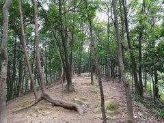 -南山植物园