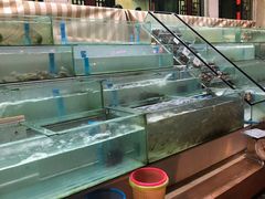 -光海鲜鱼翅餐厅(叻差拉披色路店)