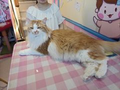 -氷冰凉刨冰甜品(北京路店)