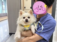 -半岛宠物医院24小时(西派城店)