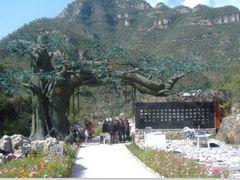 -大平台龙居瀑布旅游区