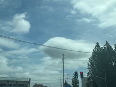 -上海第二工业大学(金海路校区)