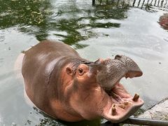 -南宁市动物园