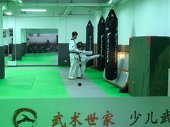 -武术世家少儿培训中心(首都体育学院店)
