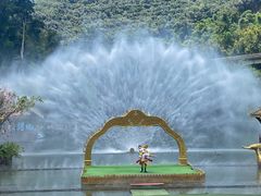 -西双版纳原始森林公园