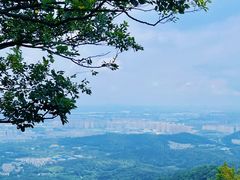 -紫金山山顶公园