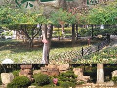-龟山风景区-龟山电视塔