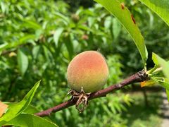 -贵阳市花溪国家城市湿地公园