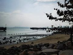 -深圳湾公园(南山区)