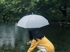 -成都市活水公园
