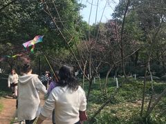-重庆彩云湖湿地公园