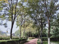 -西安汉城湖景区