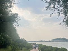 -丁香湖公园