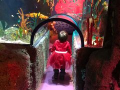 -沈阳海洋探索中心