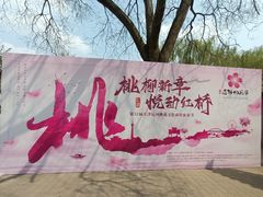 -桃花堤公园