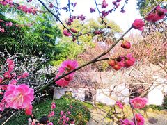 -尚贤河湿地