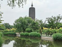 -西海子公园