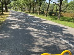 -贡湖湾湿地公园