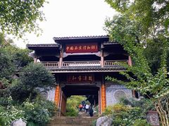-中国茶叶博物馆(双峰馆区)