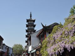 -嘉定紫藤园