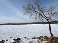 -长春市南湖公园