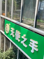 点击看大图 -ANGELHAND