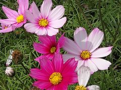 -南宁良凤江国家森林公园