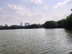 -海珠湖公园