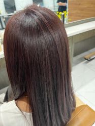 -程Studio