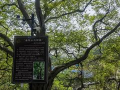 -幕燕滨江·燕子矶公园