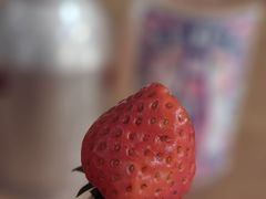 -汤里来温泉