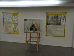 -塞班岛国际机场
