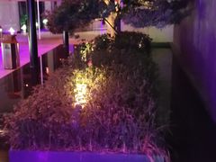 -CASA Grande酒漾·西餐及酒吧(长沙君悦酒店)