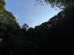-海口火山口国家地质公园