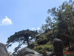 -泰山风景名胜区